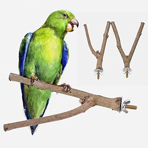 Pet Parrot Raw Wood Stand Perches Y Shape for Bird Cage , 1pc