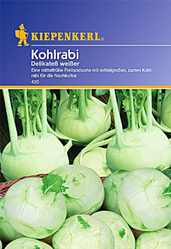 Kohlrabi Delikatess weisser