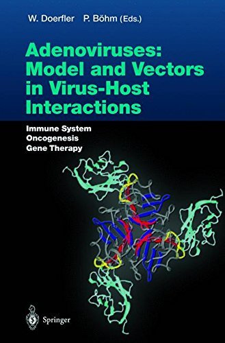 Adenoviruses: Model and Vectors in Virus-Host Interactions: Immune System, Oncogenesis, Gene Therapy (Current Topics in Microbiology and Immunology) (2003-11-13) francais Adenoviruses: Model and Vectors in Virus-Host Interactions: Immune System, Oncogenesis, Gene Therapy (Current Topics in Microbiology and Immunology) (2003-11-13) francais
