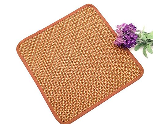 Preisvergleich Produktbild Haustier liefert Geschenk Doppelgebrauchs-Haustier-Matte, doppelseitiger Hundekatzen-Welpen-abkühlender Auflage-Kissen-kalter Sommer-Bett-Bambusmatte-Eis-Schlafen für Sommer u. Winter -45 * 45cm