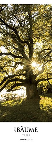 Preisvergleich Produktbild Bäume 2018 - Trees - Wald - Streifenkalender XXL (25 x 70) - Landschaftskalender - Naturkalender