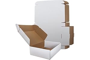 RLAVBL 20 Pack 305x229x77 mm (12x9x3 in) Shipping Boxes Small White Corrugated Cardboard Box for Packing Mailing