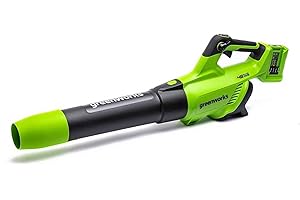 Greenworks Tools Souffleur à Feuilles axial sans Fil 2 x 24 V avec Turbo Buton (Max. Vitesse de Vent 225 km/h) sans Batterie ni Chargeur