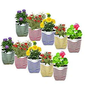 TrustBasket Premium Colorful Stripe Grow Bag - Set of 10 (20*20*35 cm)