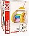 Hape Rainbow Push and Pull