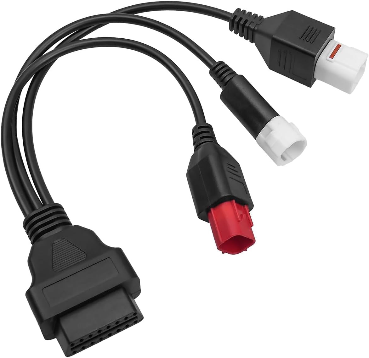 Vue 6