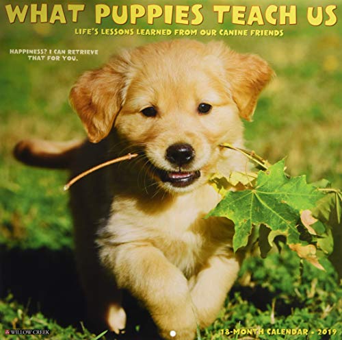 Télécharger What Puppies Teach Us 2019 Calendar Livre eBook France