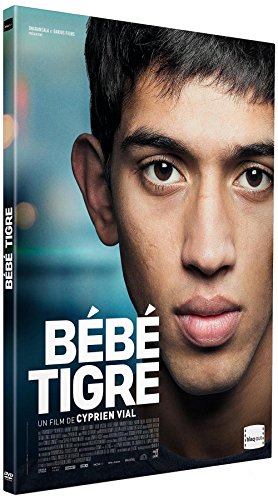 couverture de : B&eacute;b&eacute; tigre