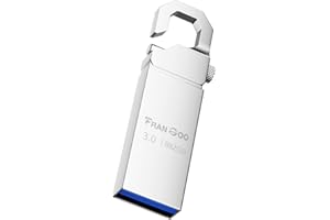 FranGoo Clé USB 3.0-982 Go : Robuste, étanche, en métal, Transfert à Grande Vitesse, sûre et Stable, Parfaite pour Les Ordinateurs Portables, Les Ordinateurs, Les tablettes et Plus Encore.