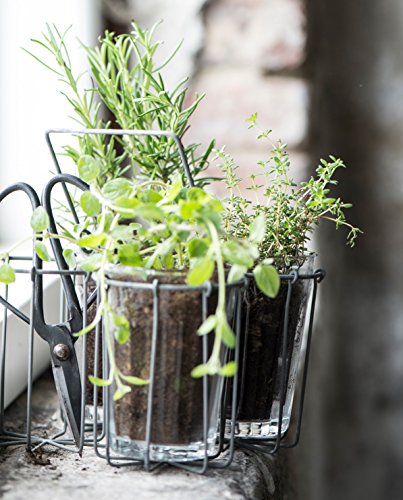 Ib Laursen Schere klein - 5