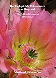 farbspiel hamburg  Das Farbspiel der Echinocereen von Orogrande