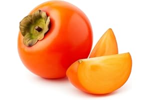 3 Graines de Plaqueminier Arbre à Kaki (Diospyros kaki) - SemiSauvage Permaculture - graines reproductibles