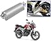 Auto Pearl Premium Quality High Performance Bike Exhaust Muffler Silencer Triangle Silver For - Yamaha SZR RS.2899.00