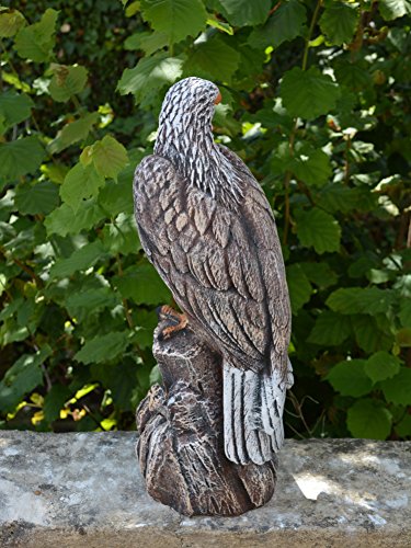 Wunderschöner Adler Farbe antik aus Steinguss, frostfest - 2