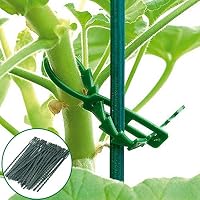 Amazon.es: Soportes para plantas: Jardín