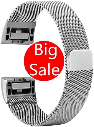 CUZOW Watch Straps Replacement Band Adjustable Wrist Strap for Fitbit Charge 2 (L, Silver)