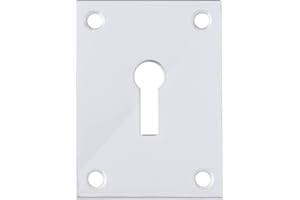 BARY Polished Stainless Steel Flat Plate Screw On Escutcheon Euro - Keyway - Blank (Keyway)