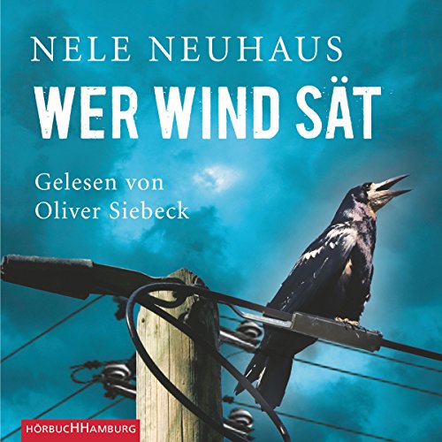 Download Wer Wind sät (Bodenstein & Kirchhoff 5)