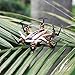 Produktbild Lorenlli H20 2.4G Mini RC Flugzeugfernsteuerung Quadcopter 6 Achsen Flugzeug Flugzeug Modus 2 Indoor unbemanntes Luftfahrzeug Hexa-Hubschrauber