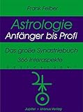Das grosse Synastriebuch: 366 Interaspekte (Astrologie Anfänger - Profi) by 