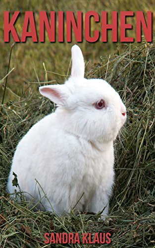 Kinderbuch: Erstaunliche Fakten & Bilder über Kaninchen