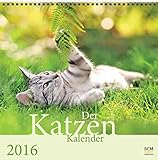 Der Katzenkalender 2016 by 
