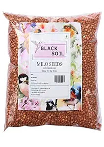 Black Soil Milo red Sorghum for Birds 1000gms