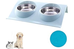 FANJIANG Ciotola per Gatti in Acciaio Inox, Pet Ciotole Doppia, Gatti Ciotola Portatile,（1 coperchio per lattina/barattolo in omaggio） (Grande, Blu)