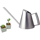 rainday Stainless Steel Watering Kettle Watering Can Pot Indoor, Long Mouth Design, 13.5OZ / 400ML, Suitable for Potted Plant