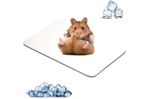 MUYYIKA Cojín de refrigeración para conejos, cojín de refrigeración para mascotas, placa de refrigeración de aleación de aluminio, para cobayas, hámster, conejo, etc. (120 × 80 mm)