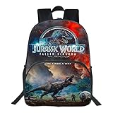 parque jurasico 2 filmaffinity ★ Tamaño: 40 * 30 * 16cm HFSK Mochila Primaria del Parque Jurásico Mochila Mochila Infantil Impresa 3D De Dinosaurio Anime 5-15 Años, Niños Y Niñas Mochila 6