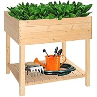 Amazon.es: Huertos urbanos y kits: Jardín