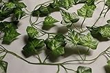Best Artificial (TM) English 210cm / 7ft Ivy Garland Hanging Vine String Plant - IL03 (1)