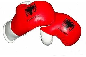 Sportfanshop24 Mini Boxhandschuhe ALBANIEN, 1 Paar (2 Stück) Miniboxhandschuhe z. B. für Auto-Innenspiegel