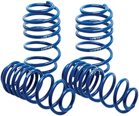 H&R 29110-1 Performance Spring Set