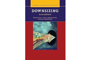 Downsizing: Is Less Still More? (Cambridge Companions to Management)