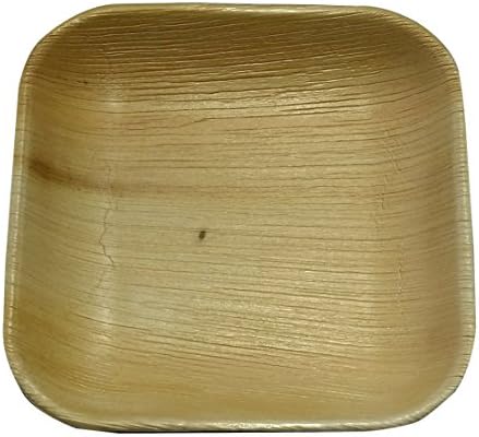 Eco-friendly disposable party plates - 17cm Square (25 plates)