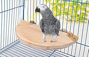 Western Era Platform/Perch/Stand Bird Toy for All Birds (8.5 Inches)