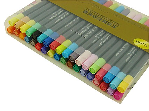 lanxivi Bürste Twin Marker mit Fine Spitze 36 R Aquarell basierend Marker, ideal für Künstler, Aquarell, skizzieren, Colorieren 36 - 5