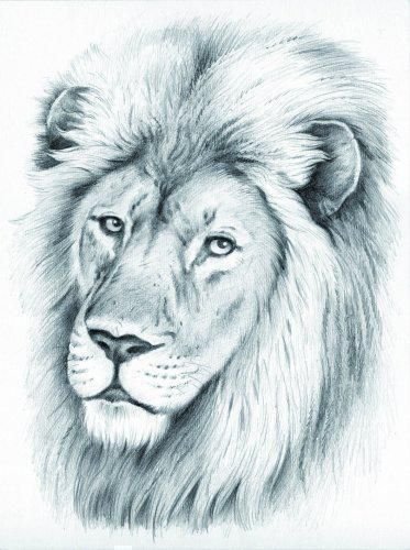 Preisvergleich Produktbild Mammut-Vertrieb Löwe Malen mit Bleistiften