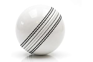White Leather Cricket Ball 4 Piece Hand Stitched Premium Match Ball for T20, Club Cricket, Practice & Training Solid Core Durable Seam (1 Ball/White)