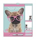 Grupo Erik Editores - Studio Pets Perro Calendario Pared Planificador...