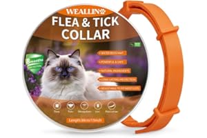WEALLIN Collier Anti Puces et Tiques pour Chats, Collier Anti Puces pour Chat Imperméable et Réglable, Naturelles et Efficace Protection 8 Mois, Collier Anti Puce Chat à Tous Les Chat, Orange (1 PC)