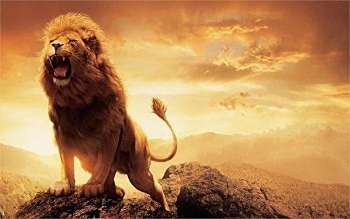 YISUMEI 60x80 Blanket Comfort Warmth Soft Plush Throw for Couch Fashion Animal narnia lion aslan