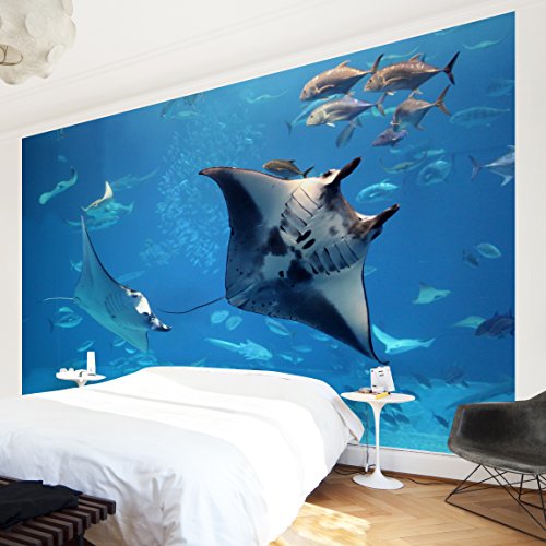 Apalis Vliestapete Manta Ray Fototapete Breit | Vlies Tapete Wandtapete Wandbild Foto 3D Fototapete für Schlafzimmer Wohnzimmer Küche | blau, 94968