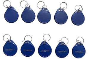 YARONGTECH Lot de 10 porte-clés RFID double fréquence 125 kHz EM4100 et puce 13,56 MHz MIFARE Classic 1K
