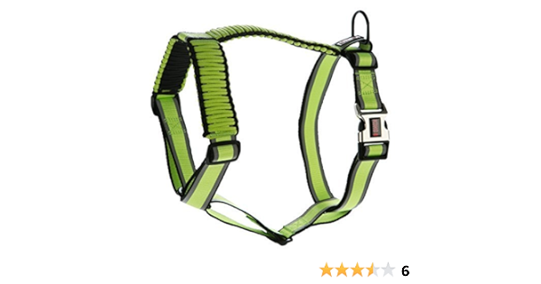 paracord harness