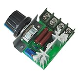 regulador motorcraft alternador Voltaje ajustable: 50-220V AC SODIAL (R) 2000W voltaje Regulador atenuacion Velocidad de la Luz monitorizacion de la temperatura
