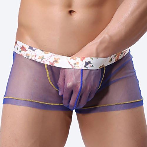 Men's Sheer Lace See Through Sissy Pouch Panties Boxer Briefs Trunks Shorts Underwear Low Rise Swim Underpants (Blue, XL)