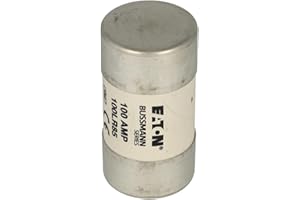 COOPER BUSSMANN 100LR85 | BUSSMANN 100A HOUSE SERVICE CUT OUT FUSE
